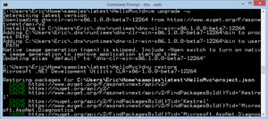 DNVM Upgrade to Unstable Build