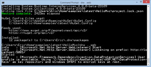 Running Website in DNVM