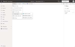 Figure 10: Publish Report Embed