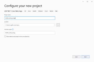 Figure 2: Naming Your ASP.NET Core 5 App