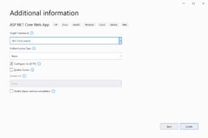 Figure 3: Select .NET 5 Framework